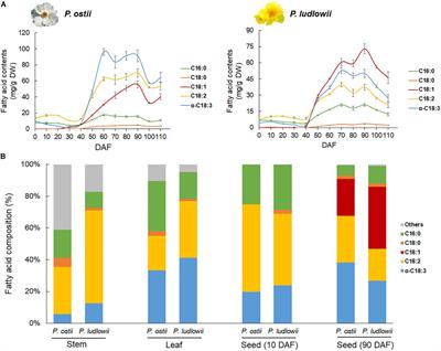 Interspecific Variation in the Unsaturation Level of Seed Oils Were Associated With the Expression Pattern Shifts of Duplicated Desaturase Genes and the Potential Role of Other Regulatory Genes